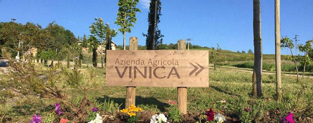 Vinica
