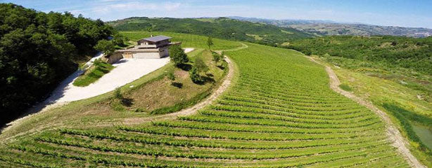 Vinica