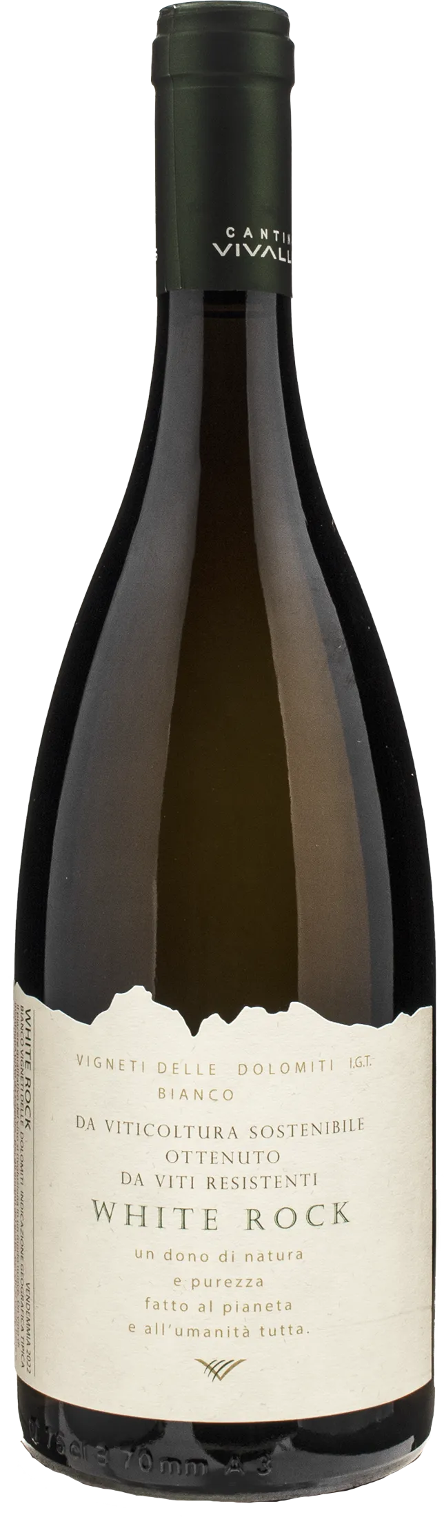 Vivallis Vino Piwi White Rock Bianco 2022