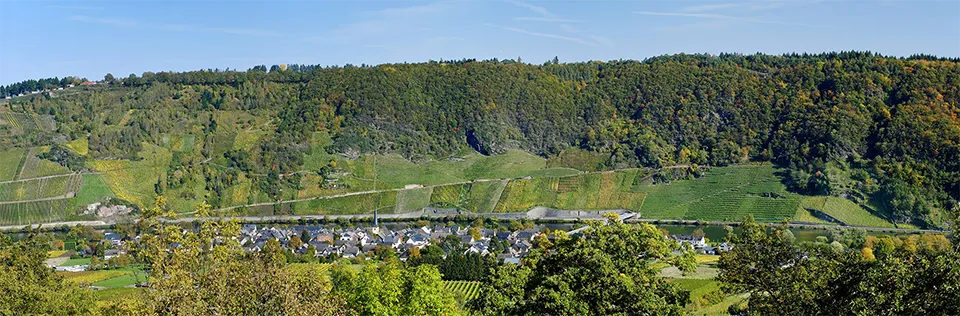 Vollenweider