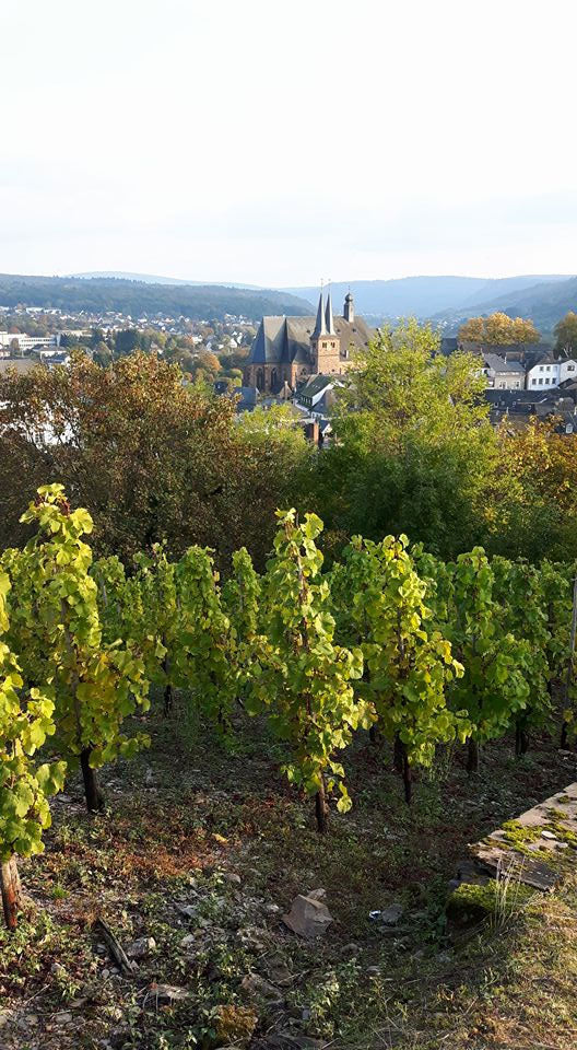 Weingut Forstmeister Geltz-Zilliken