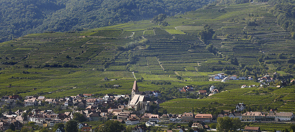 Weingut Jäger