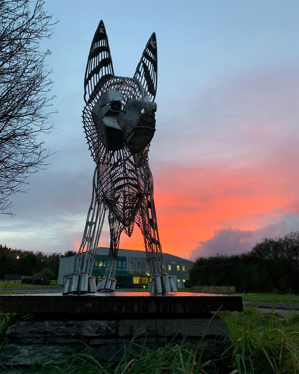 Wolfburn Distillery