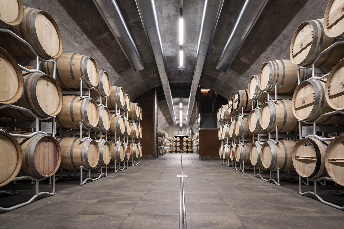 Xperience Caldaro Guided Tour and Tasting