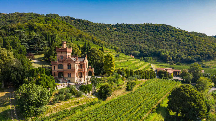 Xperience Castello Bonomi Dalla Vite al Calice 3 Calici Tasting