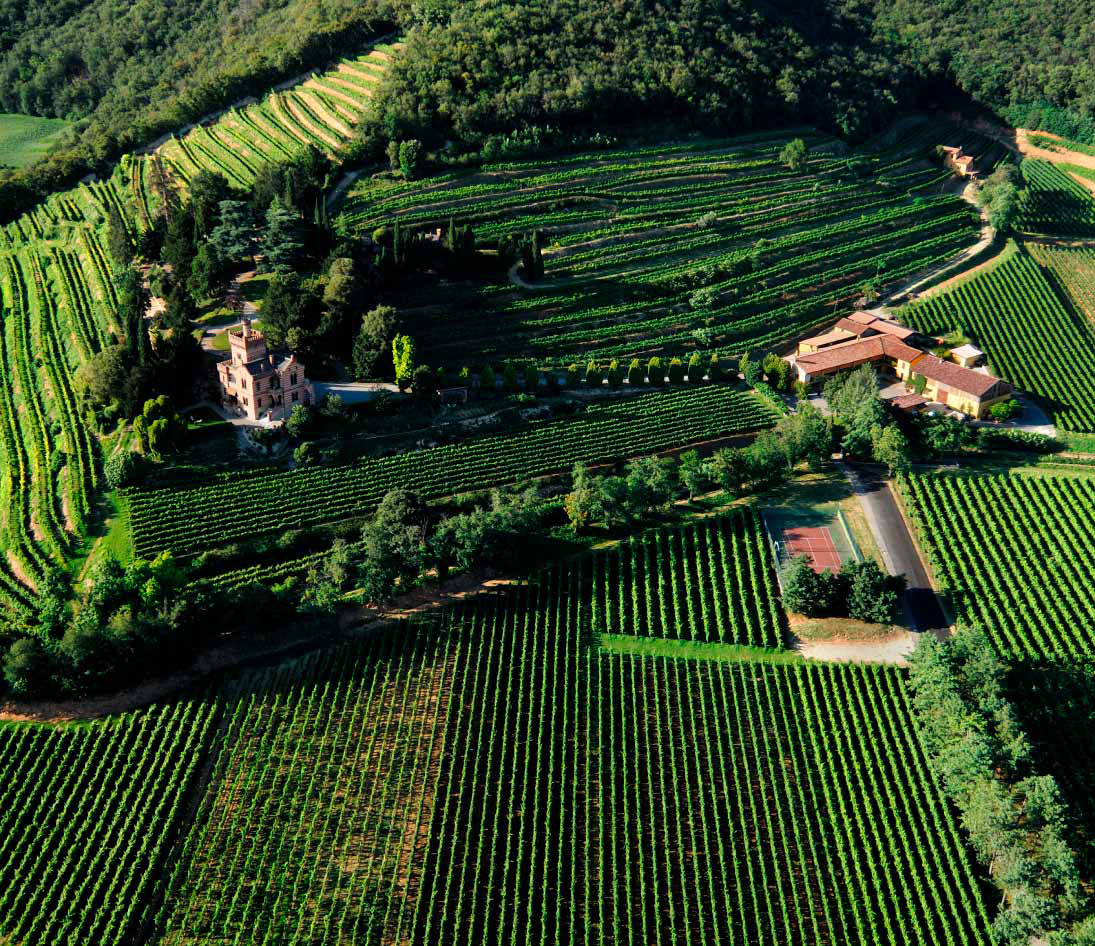 Xperience Castello Bonomi Dégustation Dalla Vite al Calice 3 Calici