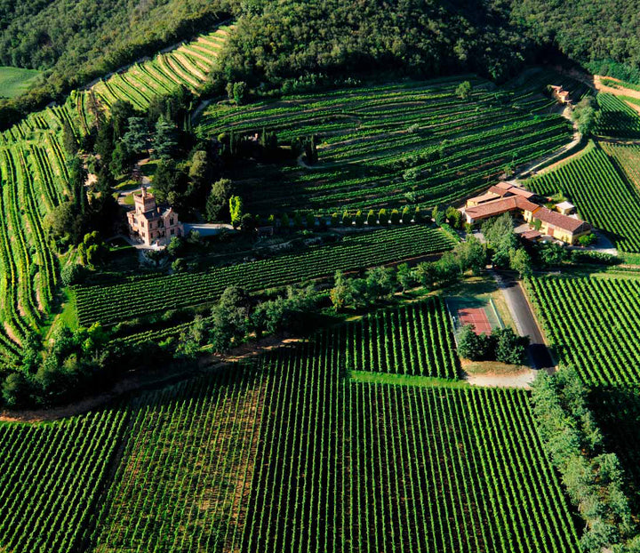 Xperience Castello Bonomi Dalla Vite al Calice 3 Calici Tasting
