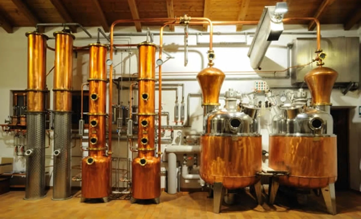 Xperience Distillerie Poli "L'Oro della Vendemmia"