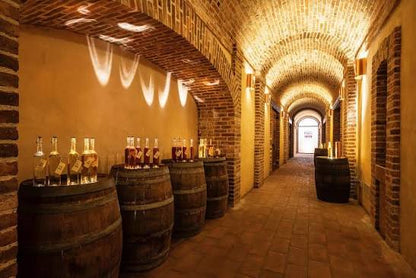 Xperience Distillerie Poli "L'Oro della Vendemmia"
