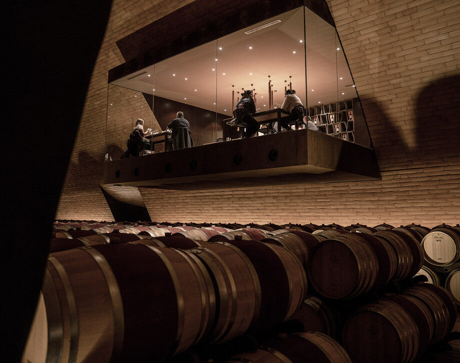 Xperience Marchesi Antinori "Dalla Vigna alla Tavola"