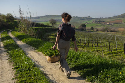 Experience Tasca d'Almerita "Sallier de la Tour"
