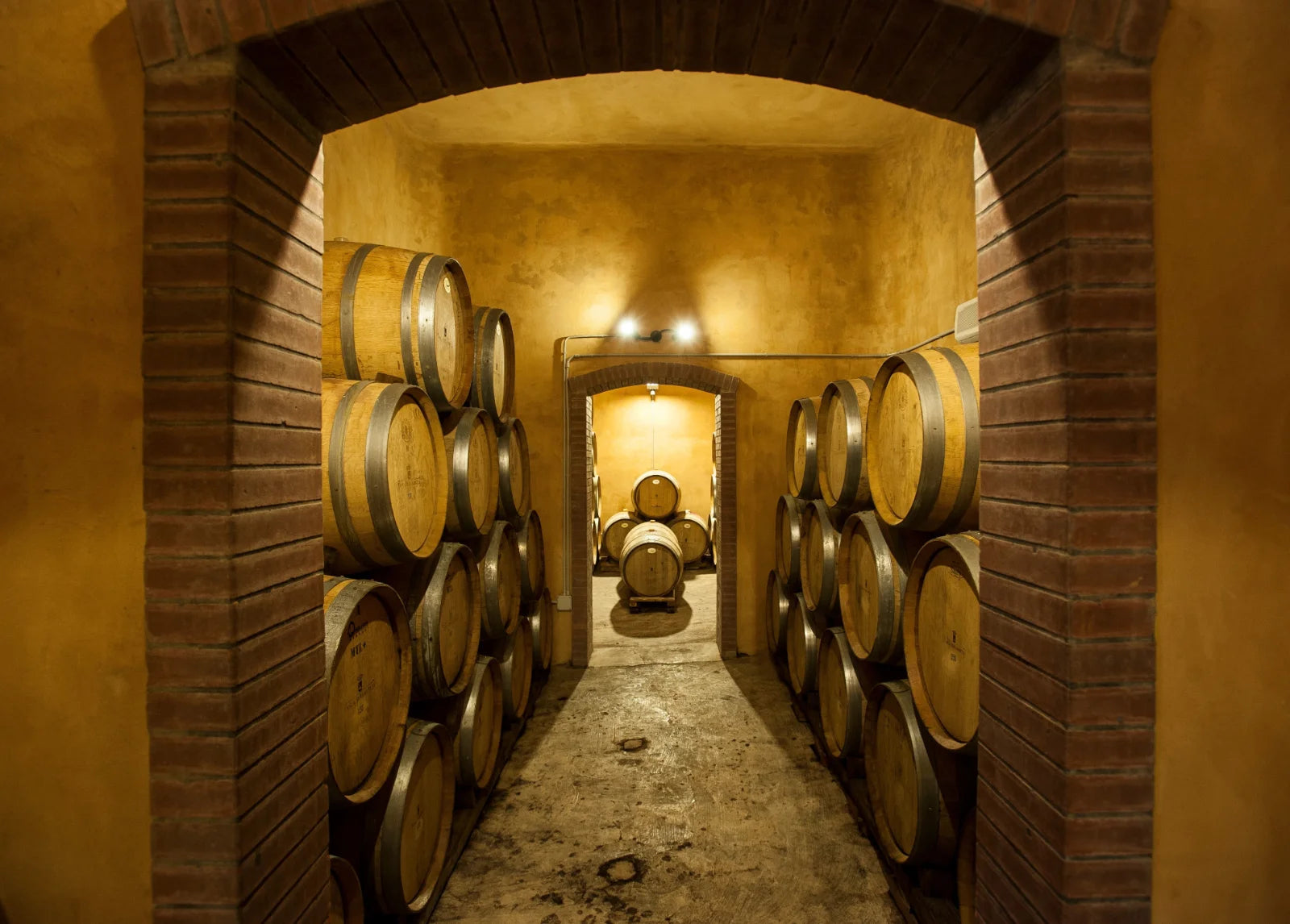 Experience Tasca d'Almerita "Sallier de la Tour"