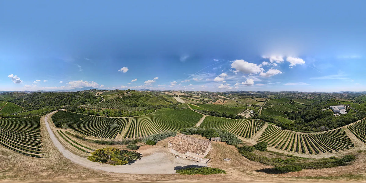 Xperience Velenosi "Tasting with Velenosi Family"