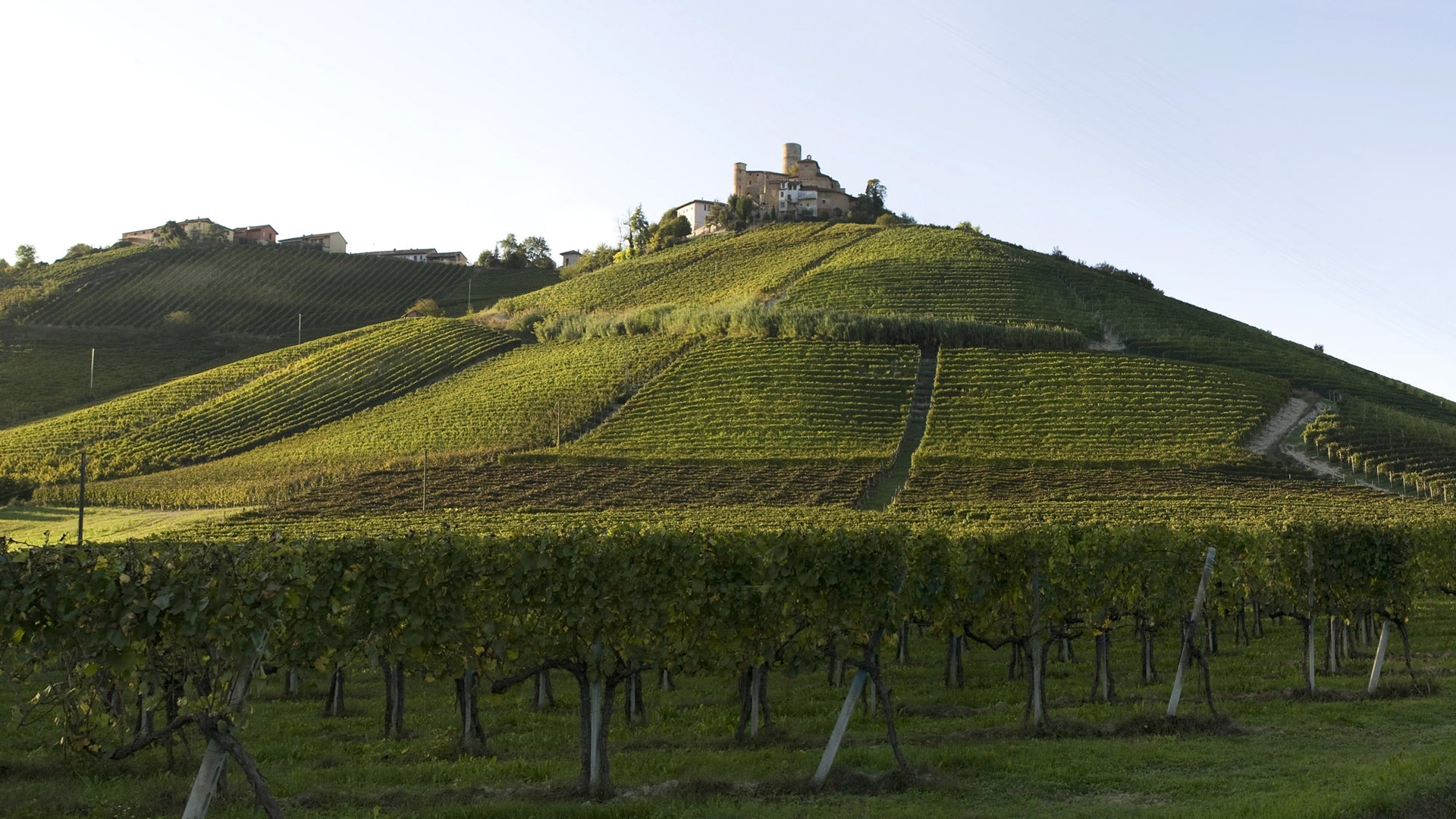 Xperience Vietti "Acini sotto le Stelle"