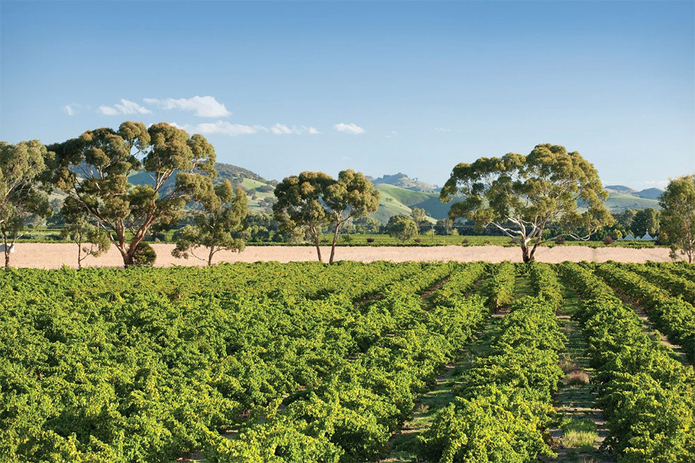 Yalumba