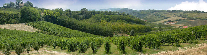 Zavalloni Azienda Agricola