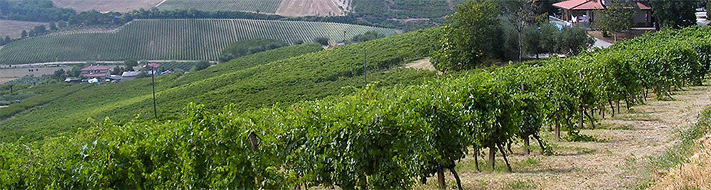 Zavalloni Azienda Agricola