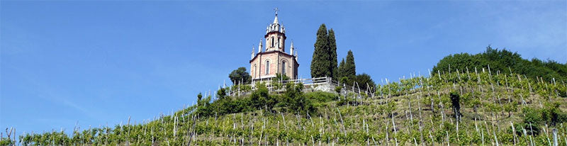 Zucchetto Paolo Azienda Agricola